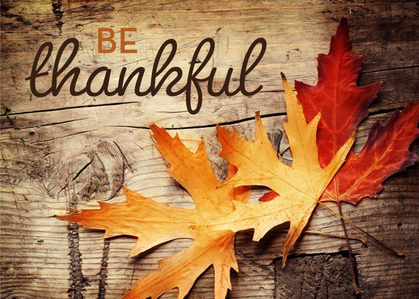 Be Thankful by Amanda Alexander